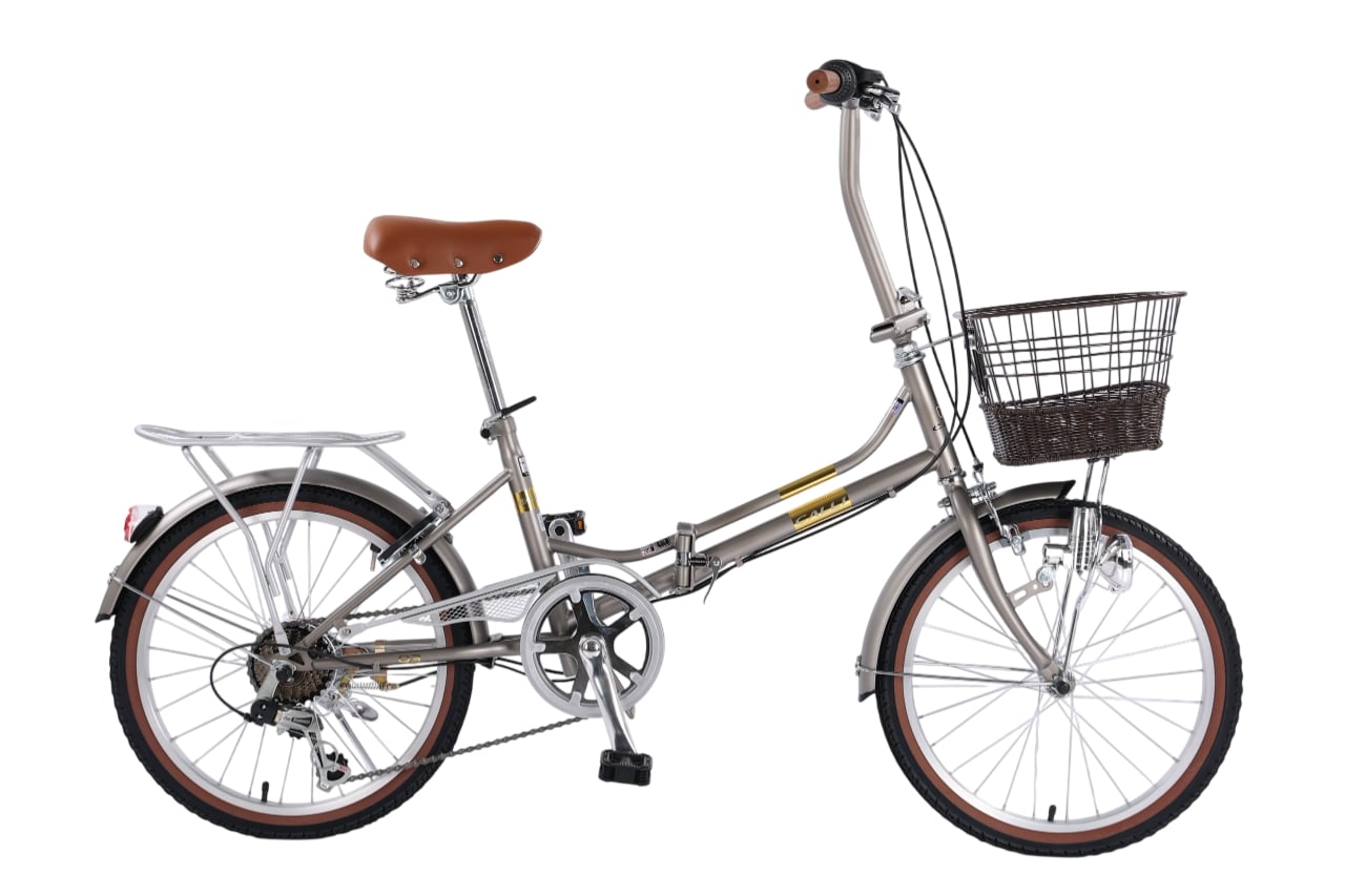 Xe Đạp Gấp Calli Q3 20 Inch Xám