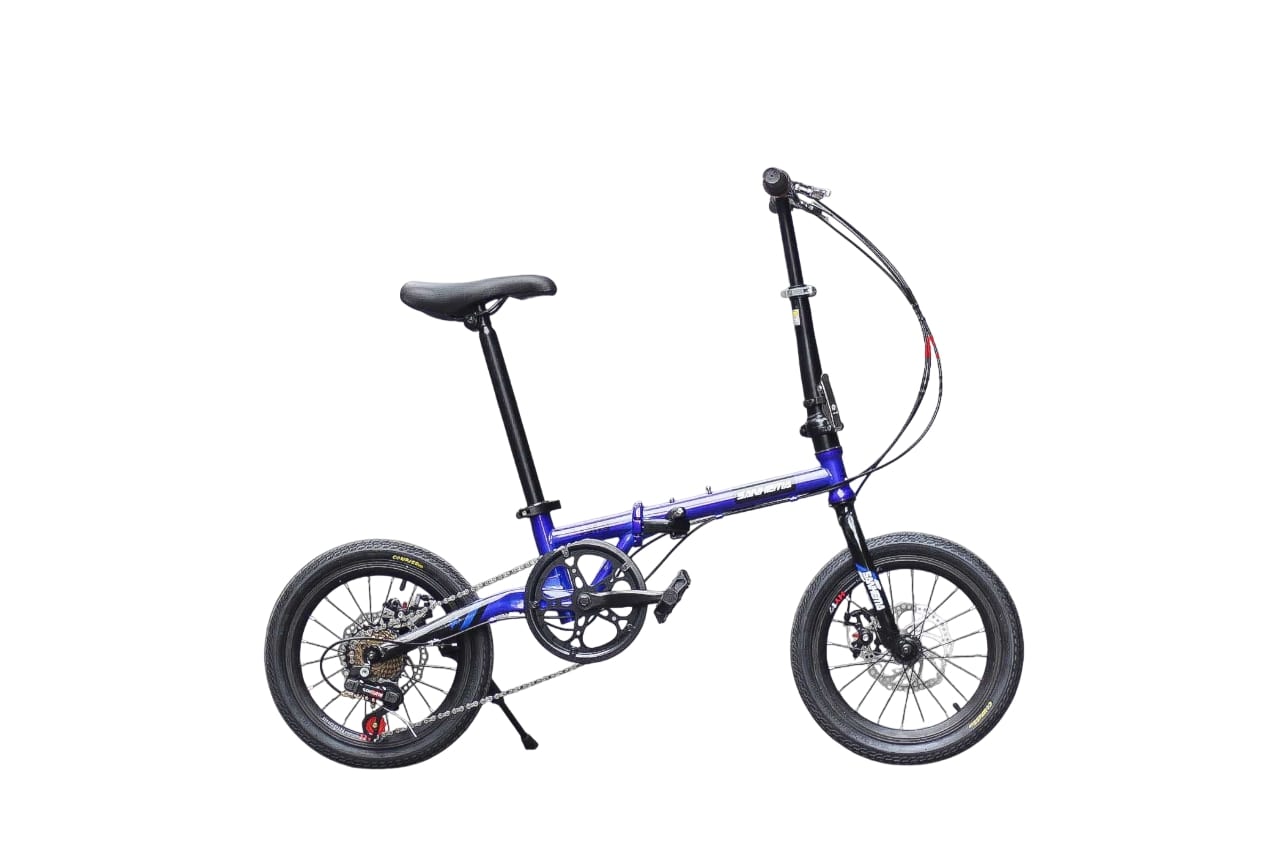 Xe đạp gấp Sanhema 16 inch xanh tím